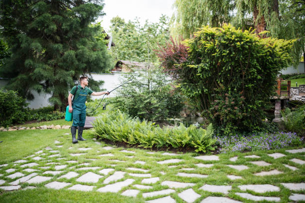 Best Exterminator Services  in Wood River, IL