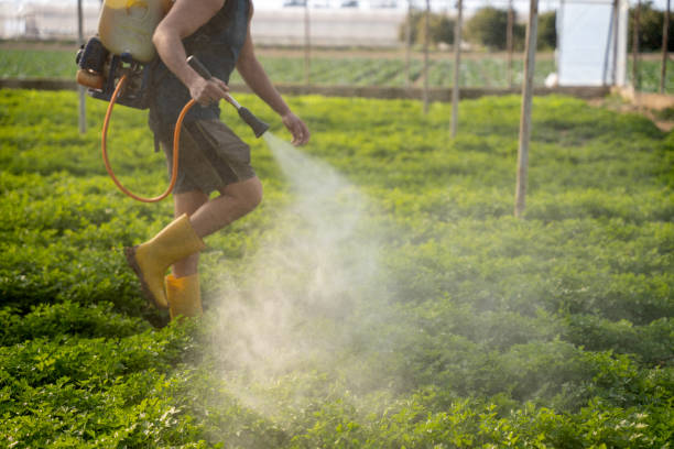 Best Residential Pest Control  in Wood River, IL