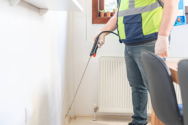 Best Ant Control Services  in Wood River, IL