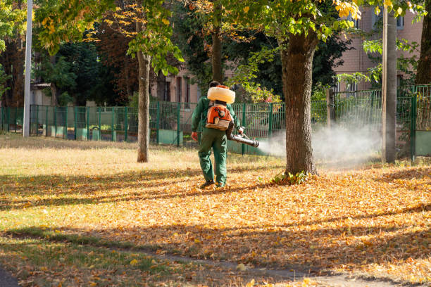 Best Rodent Control Near Me  in Wood River, IL