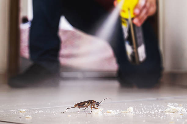 Best Pest Control for Homes  in Wood River, IL