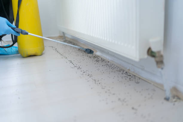 Best Wildlife Control Services  in Wood River, IL